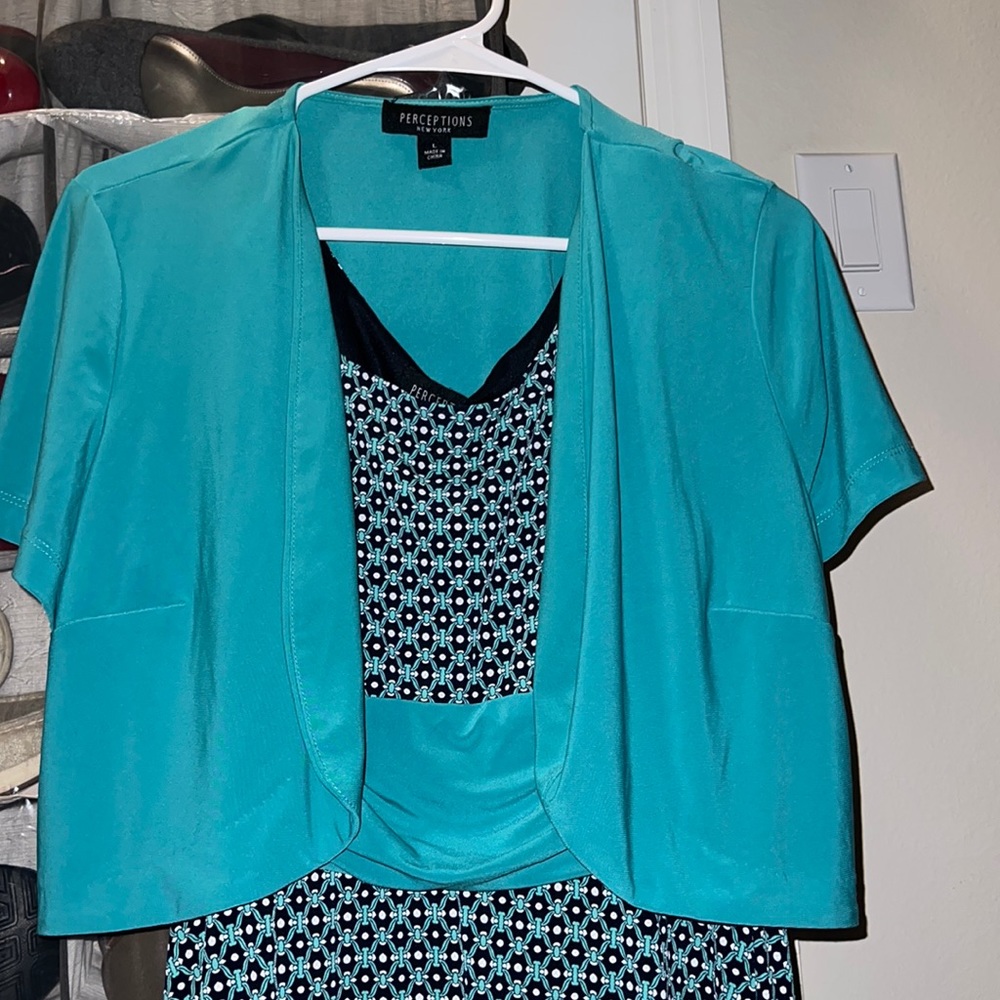 Perceptions dress size L